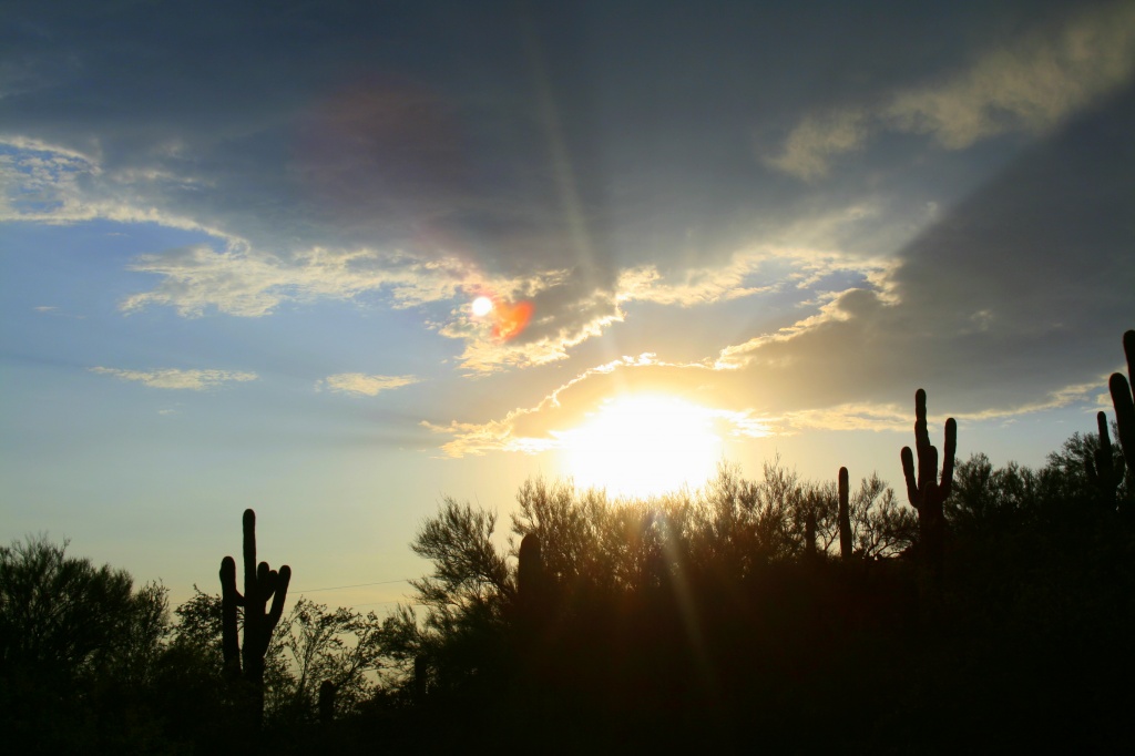 Sunshine And Saguaros by kerristephens