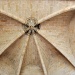 Vaulted ceiling by philbacon
