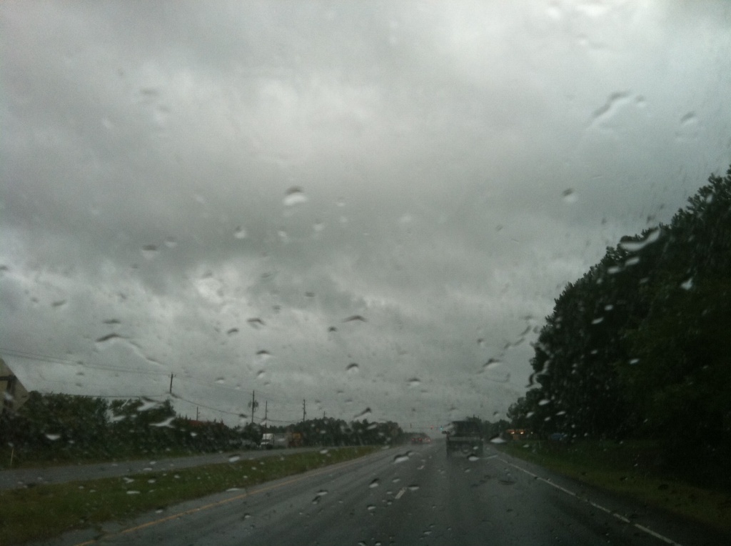 Rain from Hurricane Irene yesterday morning. by graceratliff