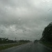 Rain from Hurricane Irene yesterday morning. by graceratliff