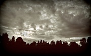 27th Aug 2011 - Storm Clouds