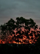 24th Aug 2011 - sunset