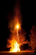28th Aug 2011 - bonfire 2 the pine tree