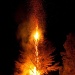 bonfire 2 the pine tree by winshez