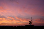 28th Aug 2011 - Cloudy sunset