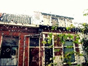 28th Aug 2011 - Rain go away