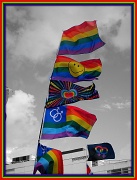 28th Aug 2011 - Pride flags
