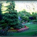 Butchart Gardens Once Again by vernabeth