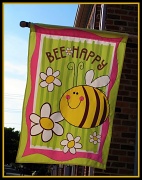 29th Aug 2011 - Bee Happy