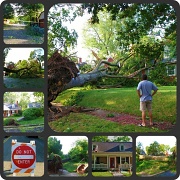 29th Aug 2011 - Aftermath of Irene