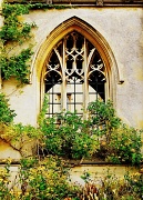 30th Aug 2011 - Through the arched window