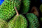 30th Aug 2011 - Durian