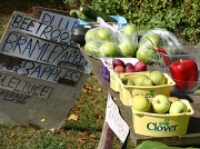 28th Aug 2011 - Local Produce