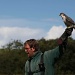 Cornish Birds Of Prey Centre [4] by netkonnexion