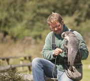 28th Aug 2011 - Cornish Birds Of Prey Centre [6] 