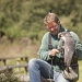Cornish Birds Of Prey Centre [6]  by netkonnexion