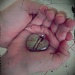 You Had My Heart Inside Of Your Hand  by mej2011