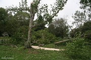 29th Aug 2011 - Hurricane Irene Aftermath