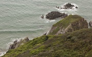 31st Aug 2011 - Cornish Cliffs