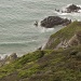 Cornish Cliffs by netkonnexion
