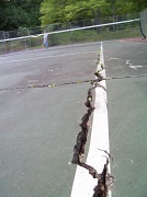 29th Aug 2011 - Worn Out Tennis Court