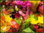 4th Sep 2011 - Flowers  for Sale!