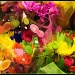 Flowers  for Sale! by olivetreeann
