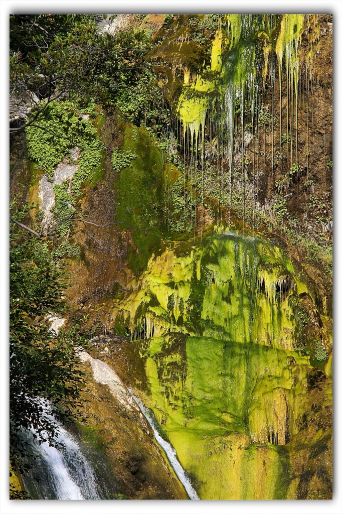 Salmon Creek Falls by aikiuser