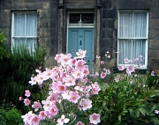 23rd Aug 2011 - Teal Door with Pink Flowers