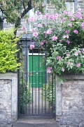 24th Aug 2011 - Green Door With Pink Flowers