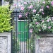 Green Door With Pink Flowers by sunny369