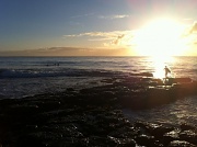 3rd Sep 2011 - 6:30 am Shellharbour