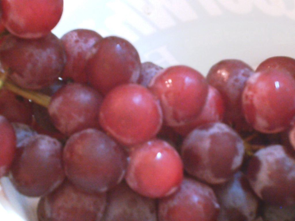 Grapes 9.2.11 by sfeldphotos