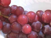 2nd Sep 2011 - Grapes 9.2.11