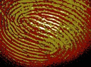 3rd Sep 2011 - fingerprint
