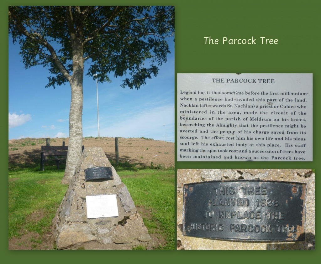 Parcock Tree Story by sarah19