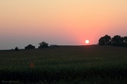 1st Sep 2011 - Heartland sunset