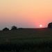 Heartland sunset by rhoing