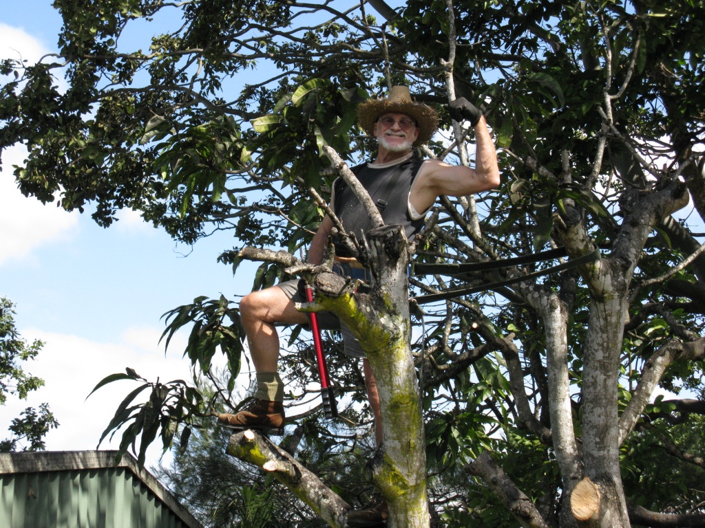 Bernie Chops Down the Mango Tree by loey5150
