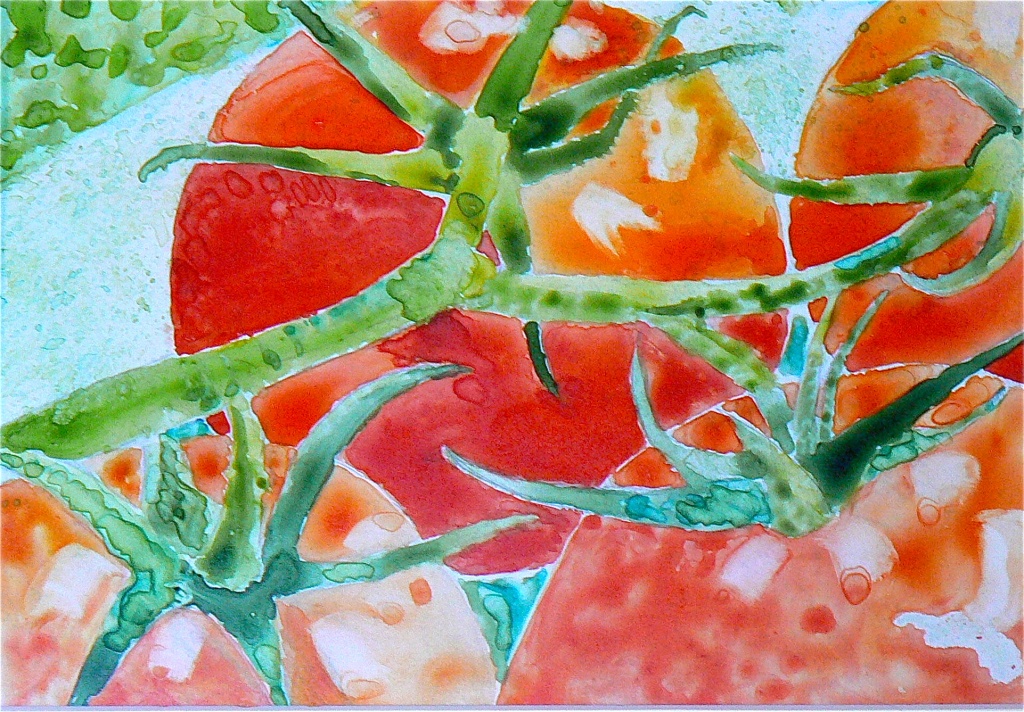 back to class - tomatoes - watercolor on yupo paper by reba