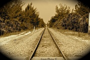 5th Sep 2011 - Tracks West