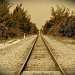 Tracks West by stcyr1up