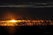 5th Sep 2011 - Sunrise ~ Edisto Island, SC