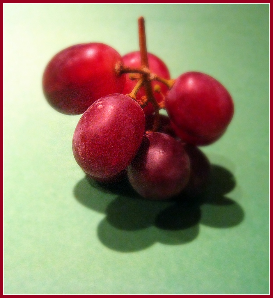 Grapes by sarahhorsfall