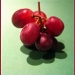 Grapes by sarahhorsfall
