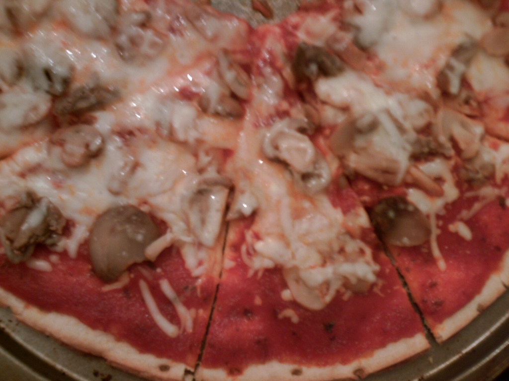 Mushroom Pizza 9.7.11 002 by sfeldphotos