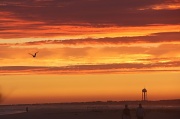 7th Sep 2011 - Sunset at Oak Island