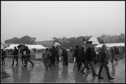 8th Sep 2011 - A Sea of Brollies.
