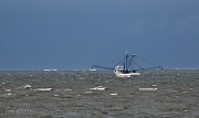 8th Sep 2011 - Shrimp Boat on Choppy Water