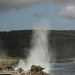 Blowhole plume with a touch of rainbow by lbmcshutter